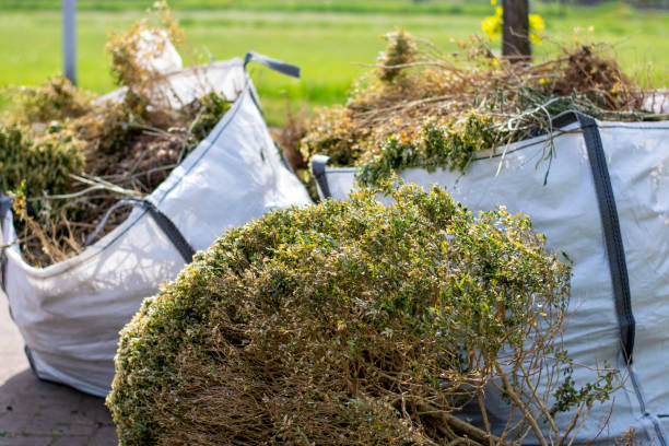 Best Hoarding Cleanup  in Harlan, IA